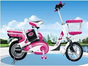 品牌電動(dòng)車經(jīng)典簡易款排名