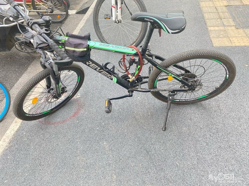 自行車(chē)10歲左右騎剛好